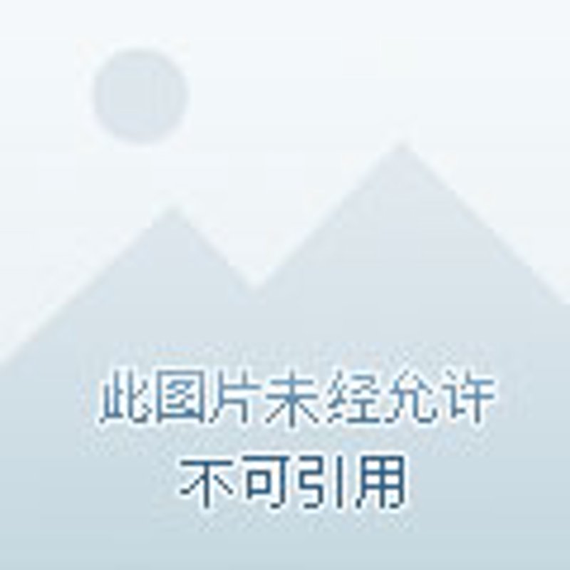 如何选择高质量的洛阳文具？——一次深度访谈